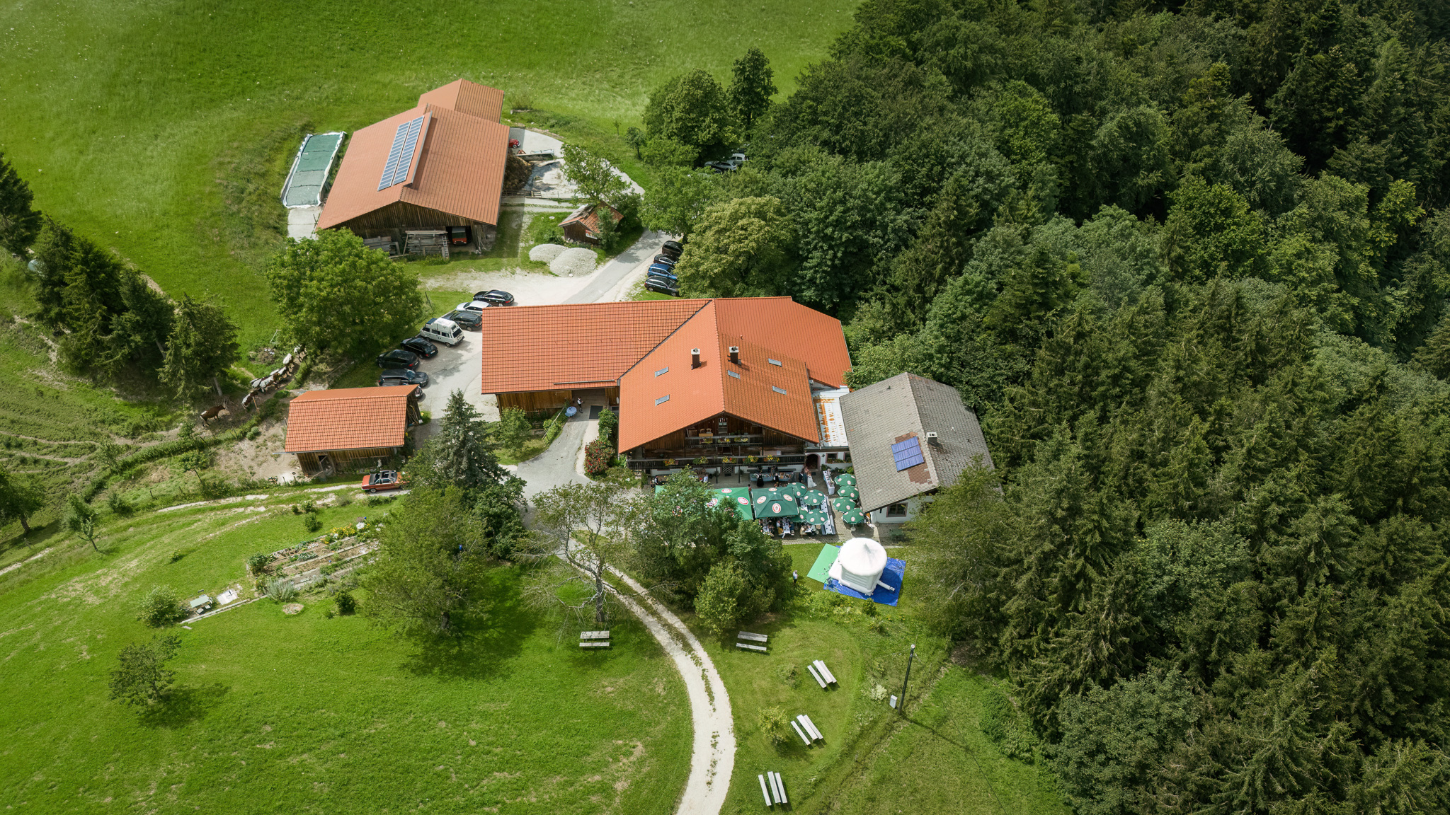 Fürmann Alm in Anger vor der Berglandschaft des Berchtesgadener Landes